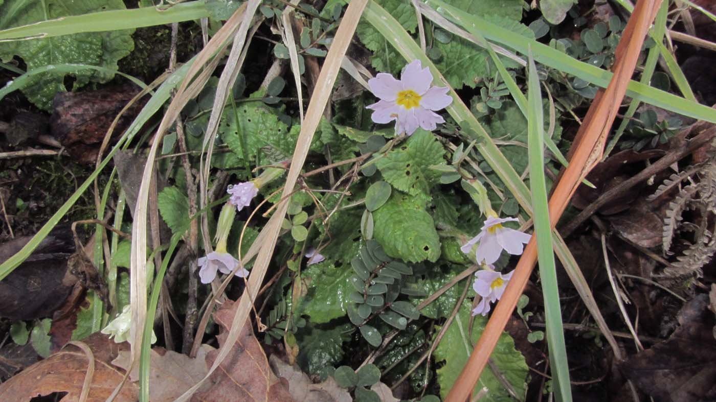 1_83_.JPG (1400×787)