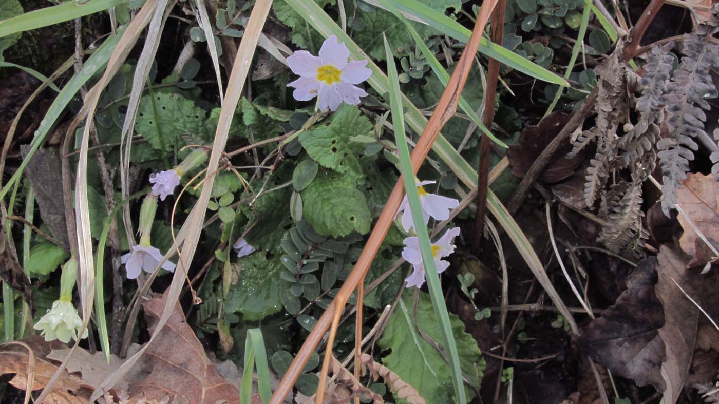 1_85_.JPG (1400×787)