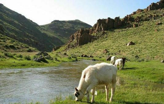 قوشاچای