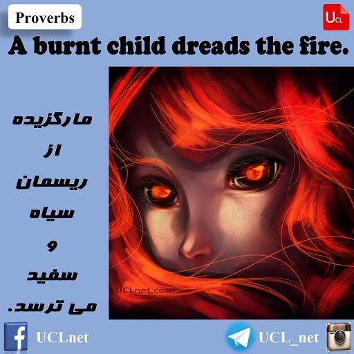 a burnt child dreads the fire - مارگزیده از ریسمان سیاه و سفید می ترسد - English Proverb