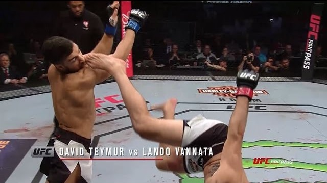 دانلود کلیپ UFC 209: Fight Motion (حرکات به صورت اهسته)