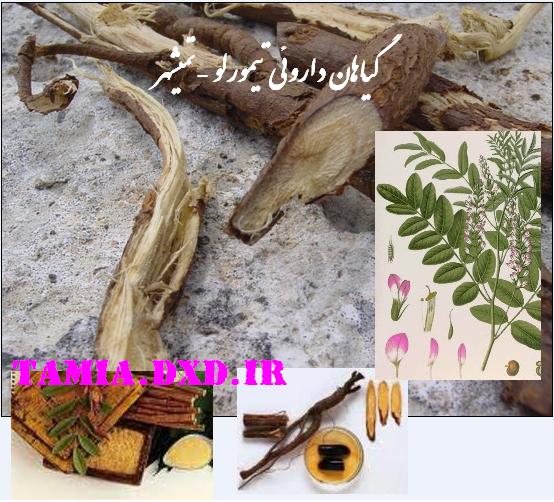 داروهای گیاهی تیمورلو