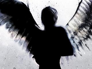 dark angel 21114 - پرواز