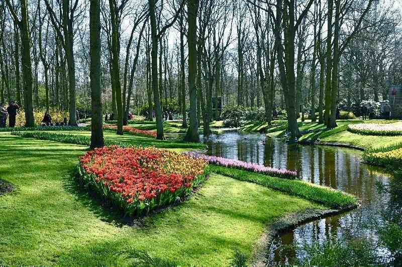 Keukenhof%20107.jpg