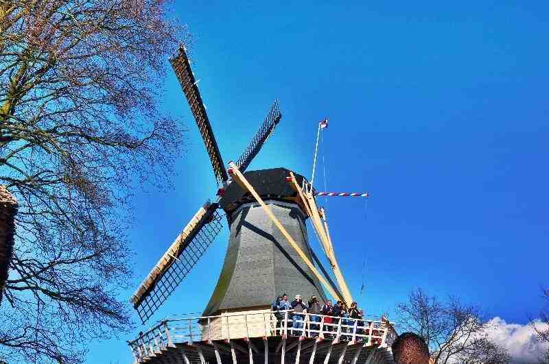 Keukenhof%20116.jpg