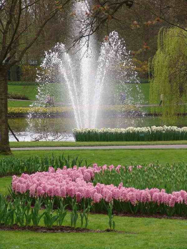 Keukenhof%20118.jpg