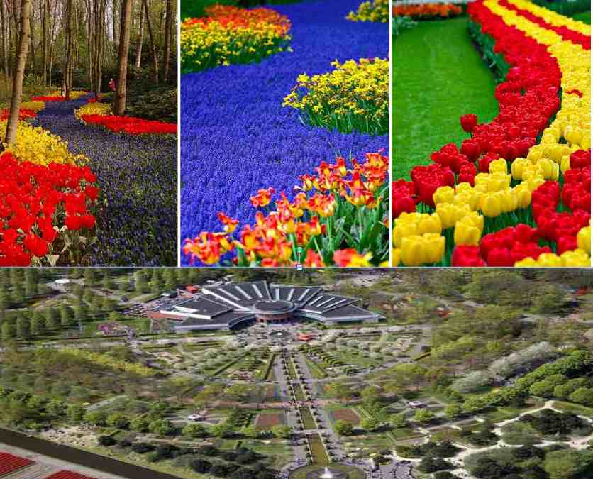 Keukenhof%201.jpg