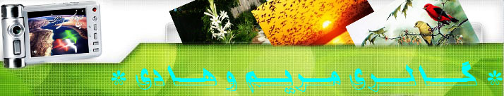 گالری مریم و هادی
mhgallery.mihanblog.com