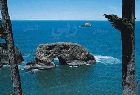 معجزات الهی