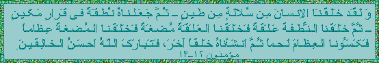 معجزات علمی قرآن در مورد مراحل شکل گیری جنین
